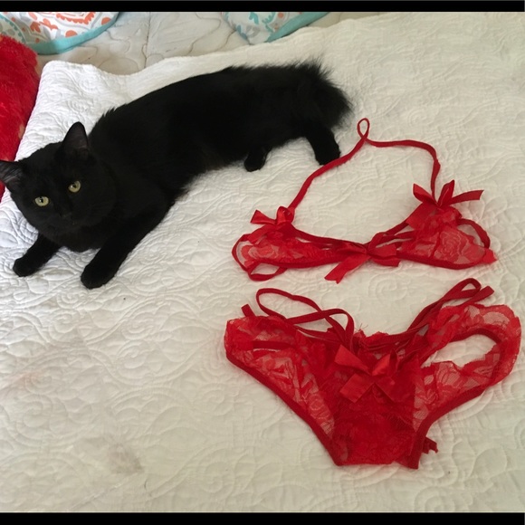 ❤️ Pretty, Sexy, HOT 🔥, Bra & G-String Set 🔥 - Picture 4 of 4